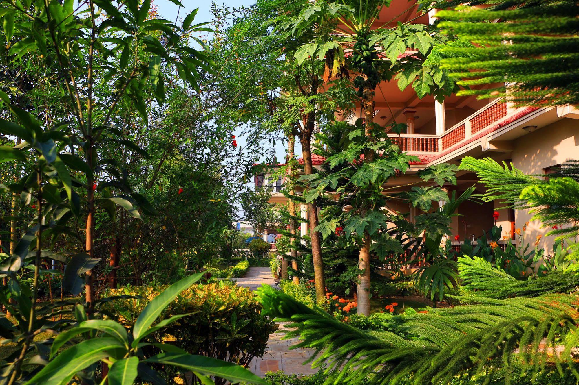 Hotel Royal Safari Sauraha Buitenkant foto