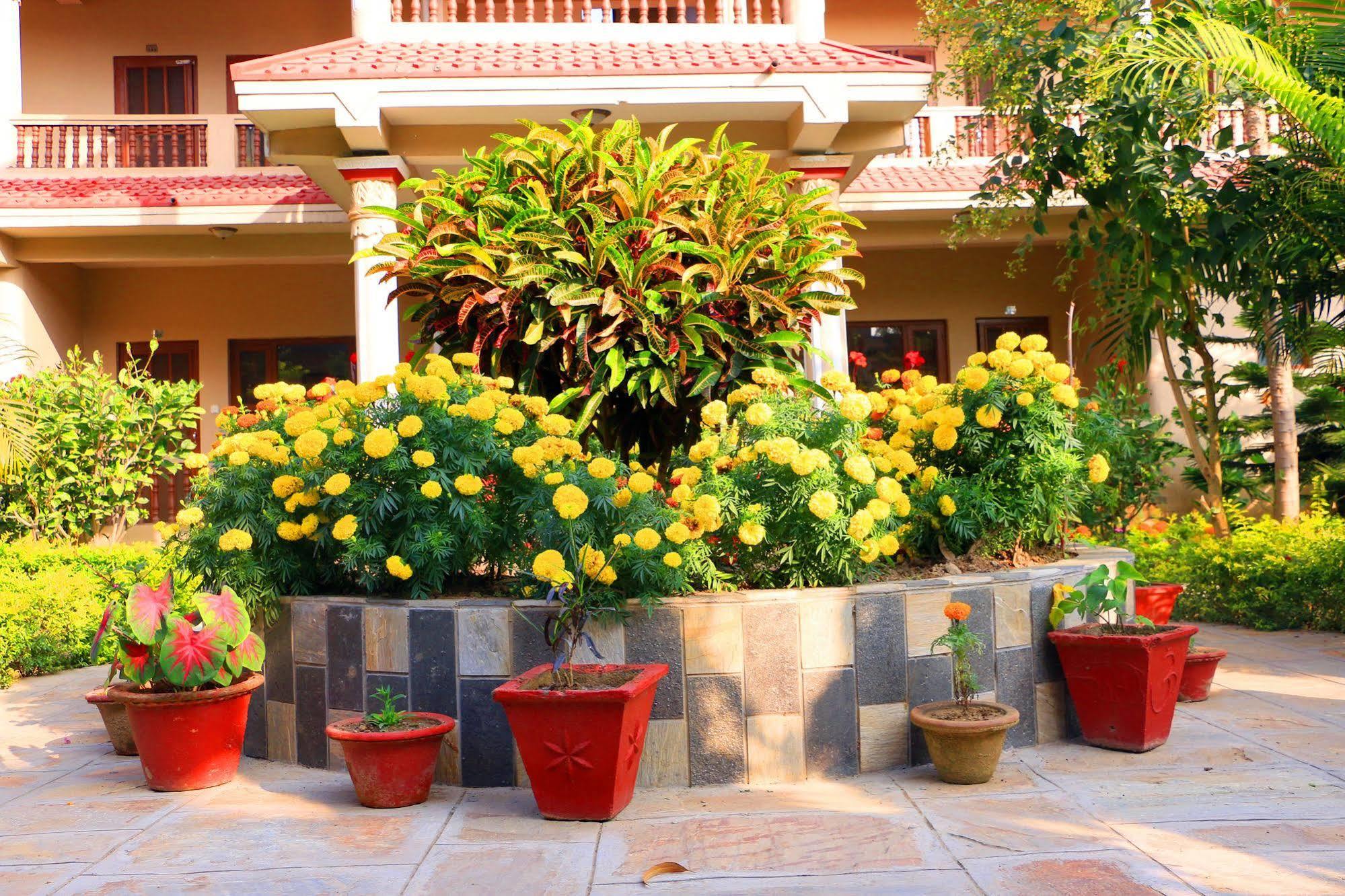 Hotel Royal Safari Sauraha Buitenkant foto